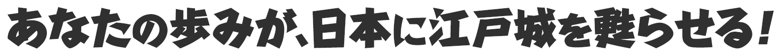 あなたの歩みが、日本に江戸城を甦えらせる！